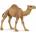 Papo Dromedary