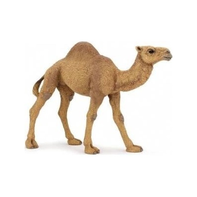 Papo Dromedary