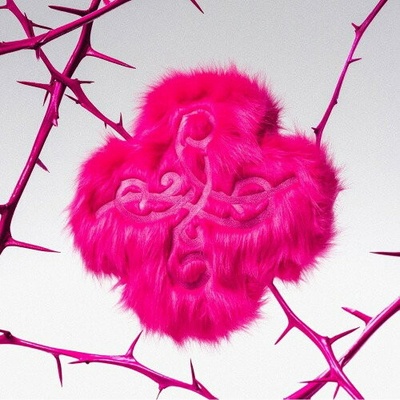 Tomorrow X Together (TXT): 7th Year: A Moment Of Stillness In The Thorns (Cushion Of Thorns Version) - CD