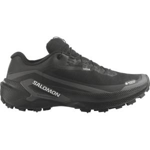 Salomon Маратонки Salomon Genesis 2 GTX Spike Trail running shoes - Black / Black / White - размер 41 1/3 (EU) (022-1624-0119)