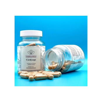 Cordyceps 60 kapslí