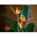 Image 1 of LEGO® ICONS™ - Creator - Bird of Paradise (10289)