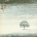 GENESIS - WIND & WUTHERING (1VINYL)