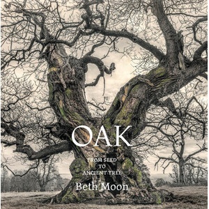 Oak | Moon, Beth (ISBN: 9780789215185)