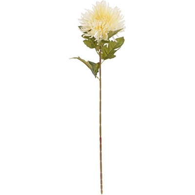 KS CHRYZANTÉMA KRÉMOVÁ 70CM