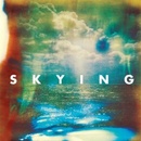 HORRORS: SKYING CD
