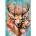 Cherry Pazzi - Puzzle Flower Deer - 1 000 piese