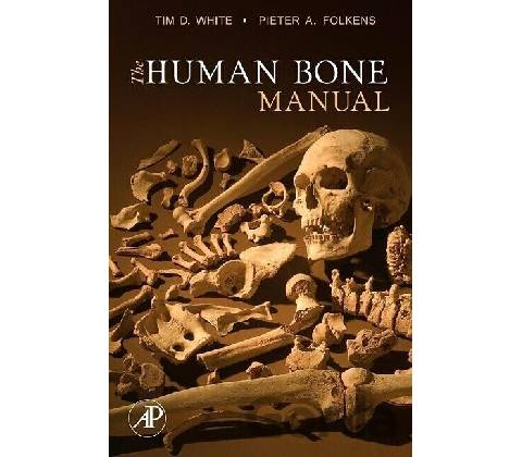 Human Bone Manual