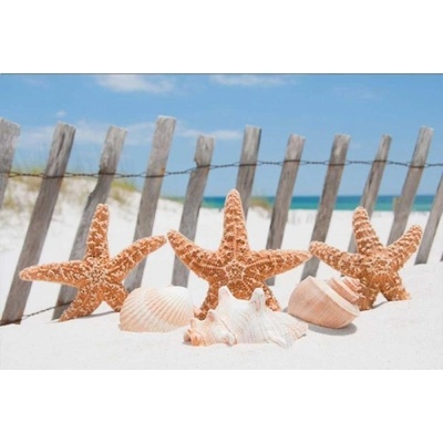 DIMEX ART Флизелинов фототапет морска звезда на плажа 375 x 250 см