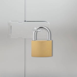 vidaXL U Lock с ключове 50 бр. Месинг Желязо (42021937)