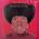 Ruby Andrews - Everybody Saw You (LP) (0710473184755)