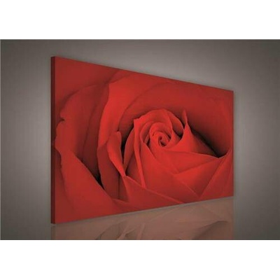 Obraz na plátně červená růže 147BO1, 100 x 75 cm, IMPOL TRADE