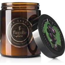 Flagolie Black Currant 120g