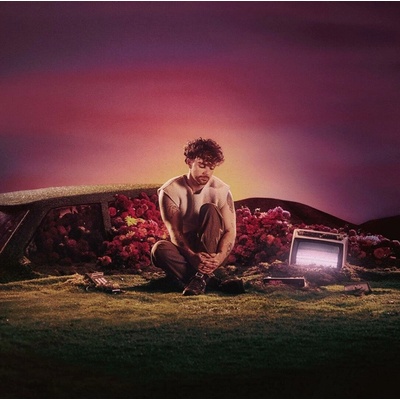 Grennan Tom What Ifs & Maybes Vinyl