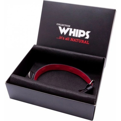 Whips Collection Dámský obojek tenký