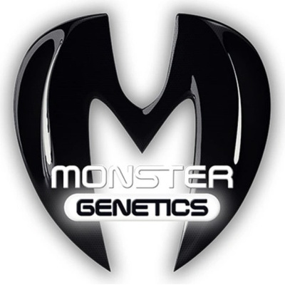 Monster Genetics Monster Pebbles semena neobsahují THC 10 ks