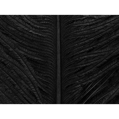 Veniard Pštrosí Peří Ostrich Herl Black