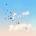 GoGo Penguin - Everything is Going To Be Ok (LP) (0196587699512)