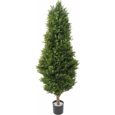 BUXUS RED DAY TOPIARY UV, 155cm