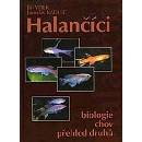 Halančíci