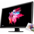 Eizo CS2410