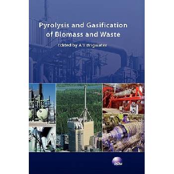 Pyrolysis and Gasification of Biomass and Waste | Anthony V Bridgwater