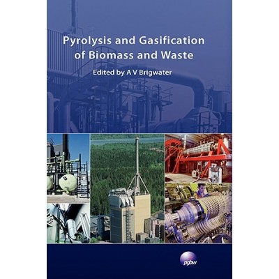 Pyrolysis and Gasification of Biomass and Waste | Anthony V Bridgwater