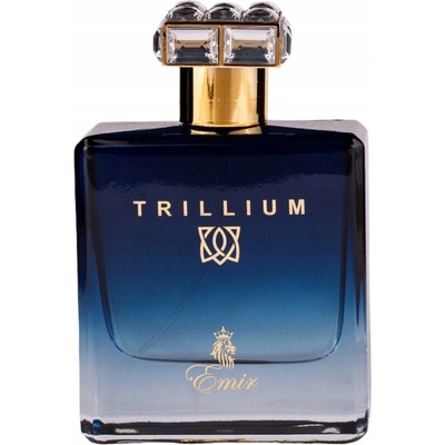 Paris Corner Emir Trillium parfémovaná voda pánská 100 ml