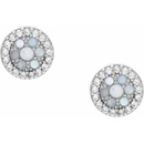 Fossil náušnice JFS00518040