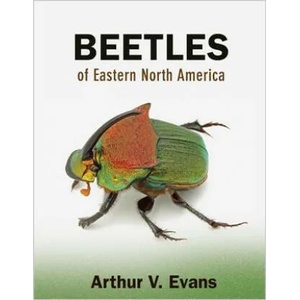 Beetles of Eastern North America | Arthur V. Evans (2014)