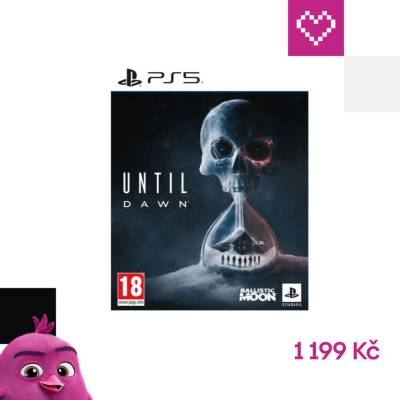 Until Dawn