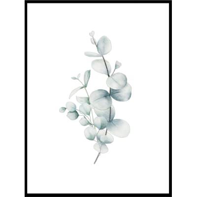 Obraz - EUCALYPT I Velikost: 21 x 30