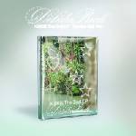 Daniel Shopping s. r. o Kiiikiii: Delulu Pack (Crystal Ball. Version) - CD (090441)