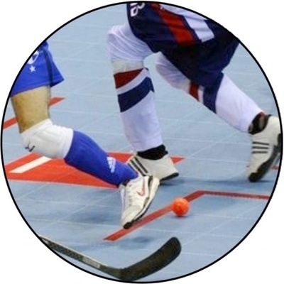 VIZINGR Hokejbal MINI logo L1č.187