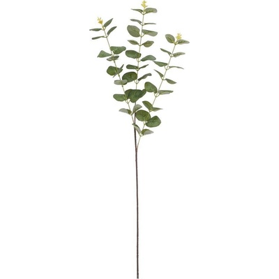 Eucalyptus cinerea kus 83cm zelený 248751