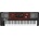 KORG Pa700 Oriental