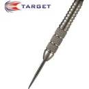 Target Steel Power Silverlight Phil Taylor 22 g