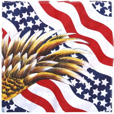 Šátek bandana Fosco USA Flag Eagle