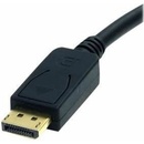 StarTech DP2DVI2MM6