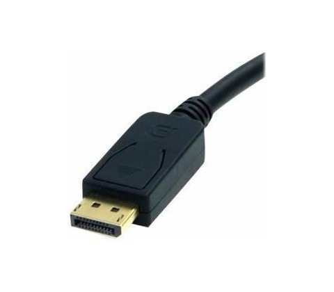 StarTech DP2DVI2MM6