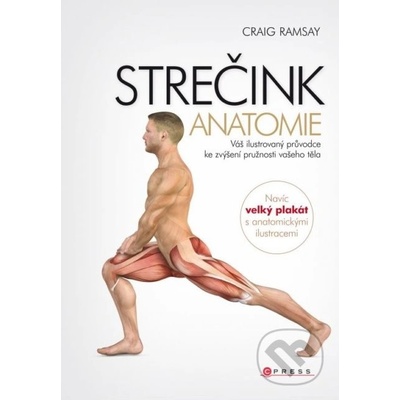 Strečink - anatomie