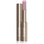 PAESE Glowy Pop Lip Serum гланц-грижа за устни с подхранващ ефект цвят 500 Frosted Plum 2.2 гр