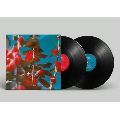 LAWSON, CHAD - BREATHE LP