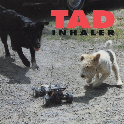 Tad - Inhaler (180 g) (LP) (8719262037694)