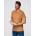 Ombre Basic cotton T-shirt brown