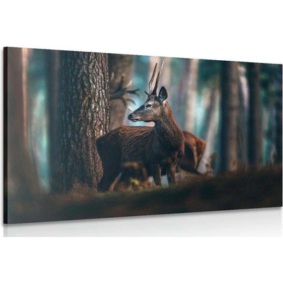 Obraz jelen v borovicovém lese - 60x40