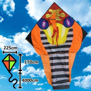 D&P Maxi Had