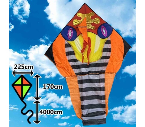 D&P Maxi Had