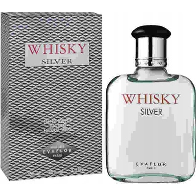Evaflor Whisky Silver For Men toaletná voda pánska 100 ml
