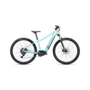 CTM Ruby GX 2025